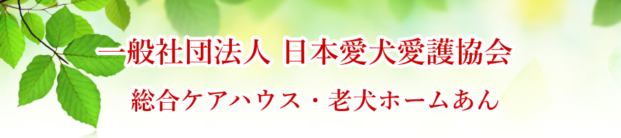 日本愛犬愛護協会|老犬介護について